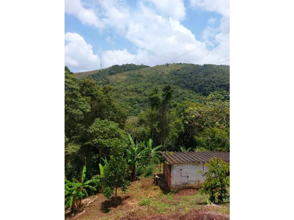Vendo casa 600mts2 Plantacion de Cacao 5h/6b/10pe Los Guayabitos - 13