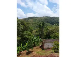 Vista 13