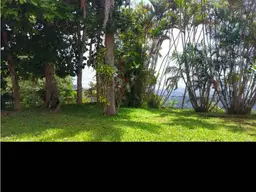 Vista 14
