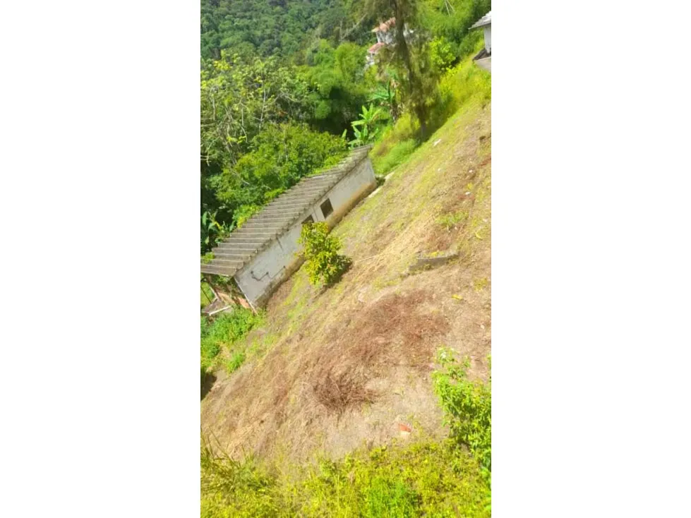 Vendo casa 600mts2 Plantacion de Cacao 5h/6b/10pe Los Guayabitos - 19