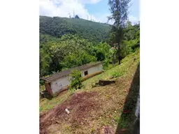 Vista 31