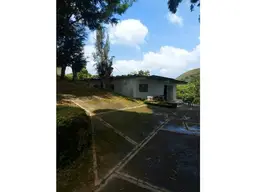 Vista 5