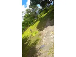 Vista 6