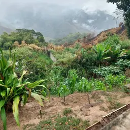 Vista 11