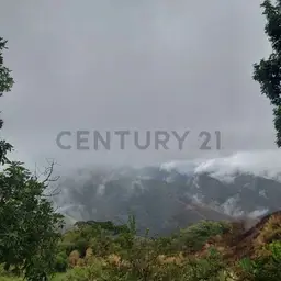 Vista 12