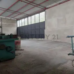 Vista 3