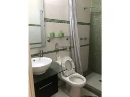 Vista 19