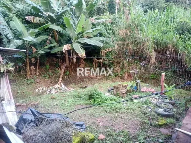 CASA EN EL JUNCO - 8