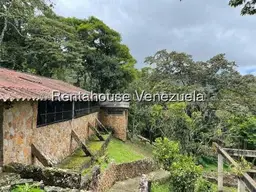 Vista 11