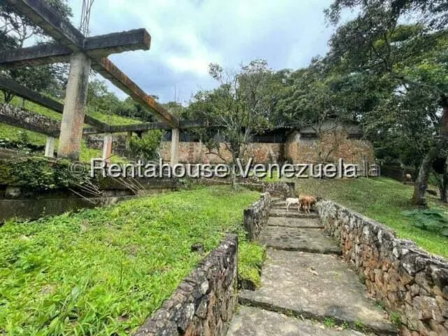 Comercial (Club Campestre) en Venta en Curimagua, Falcon - 12