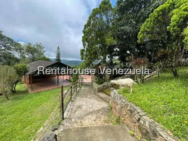 Comercial (Club Campestre) en Venta en Curimagua, Falcon - 13