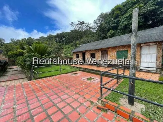 Comercial (Club Campestre) en Venta en Curimagua, Falcon - 16