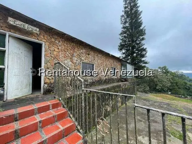 Comercial (Club Campestre) en Venta en Curimagua, Falcon - 24