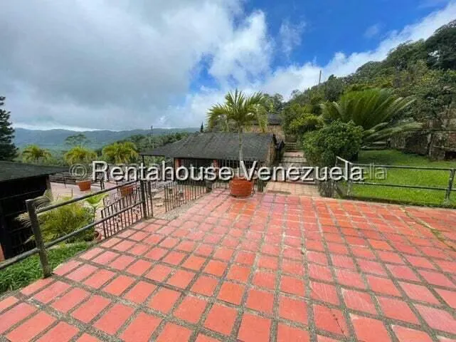 Comercial (Club Campestre) en Venta en Curimagua, Falcon - 28