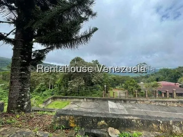 Comercial (Club Campestre) en Venta en Curimagua, Falcon - 29