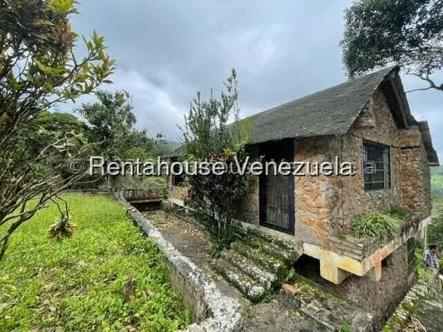 Comercial (Club Campestre) en Venta en Curimagua, Falcon - 5