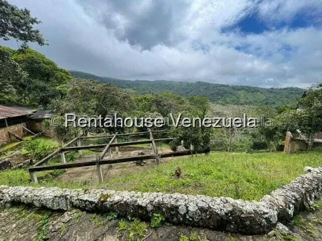 Comercial (Club Campestre) en Venta en Curimagua, Falcon - 9
