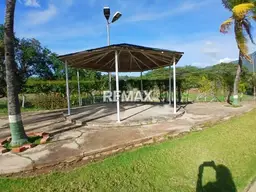 Vista 19