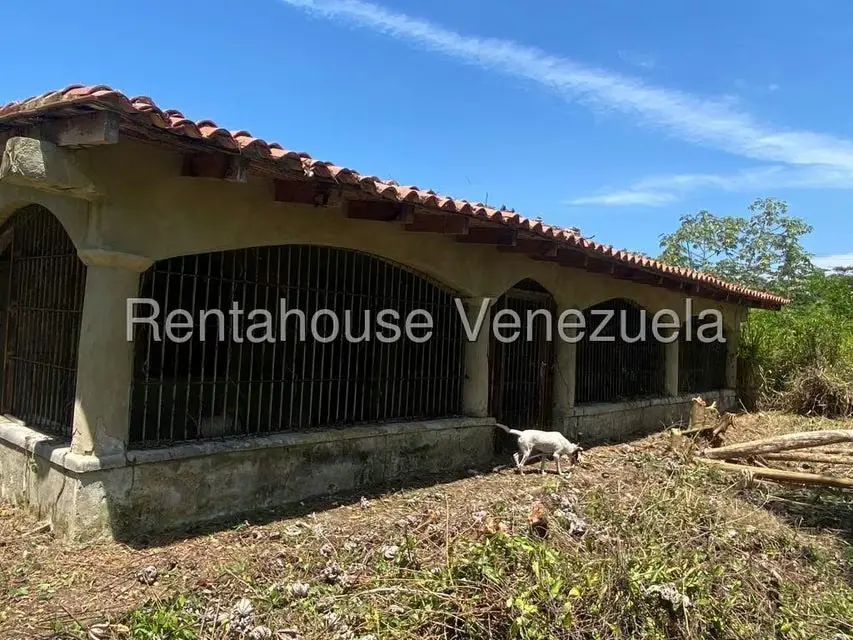 Terreno (Comercial) en Venta en Higuerote, Miranda - 22