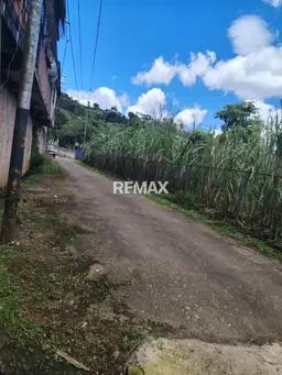 View 1