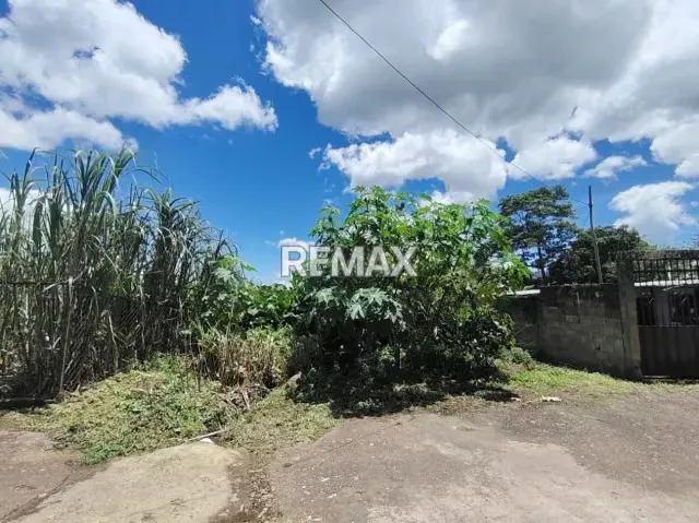 SE VENDE TERRENO EN EL JUNCO DE TARIBA - 4