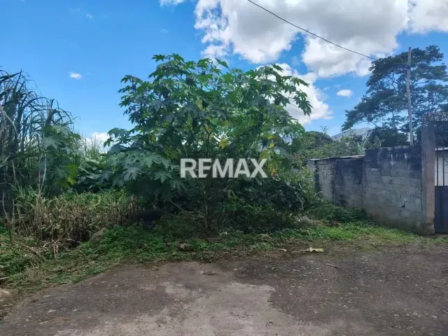 SE VENDE TERRENO EN EL JUNCO DE TARIBA - 6