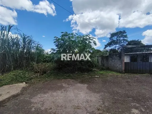 SE VENDE TERRENO EN EL JUNCO DE TARIBA - 7