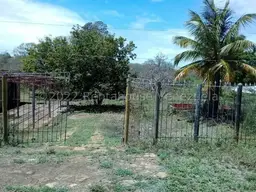 View 1