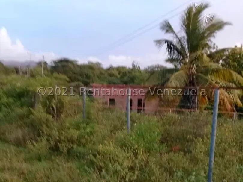 Terreno (Residencial) en Venta en La Montaña, Falcon - 12