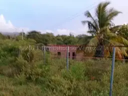View 12