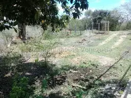 View 15