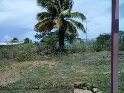 View 21