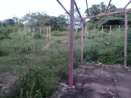 View 10