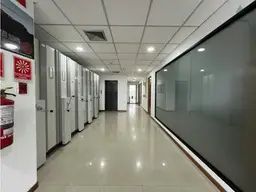 Vista 19