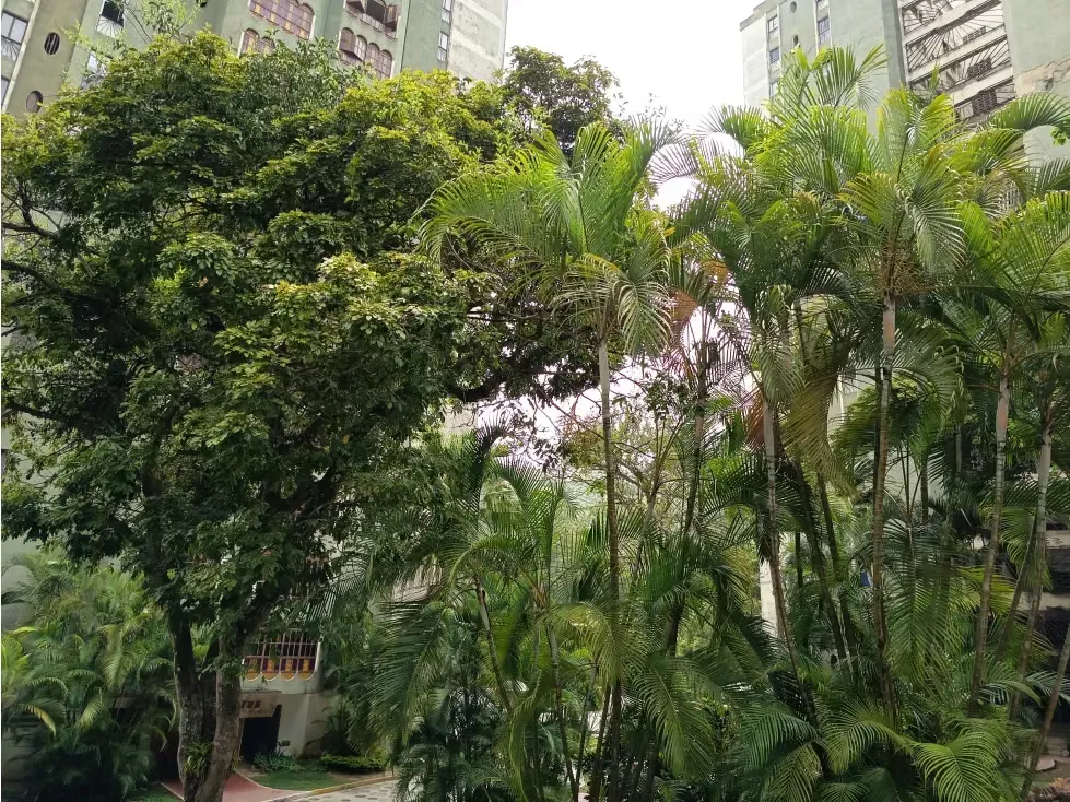 Vendo apartamento 139m2 La Boyera 6832 - 25