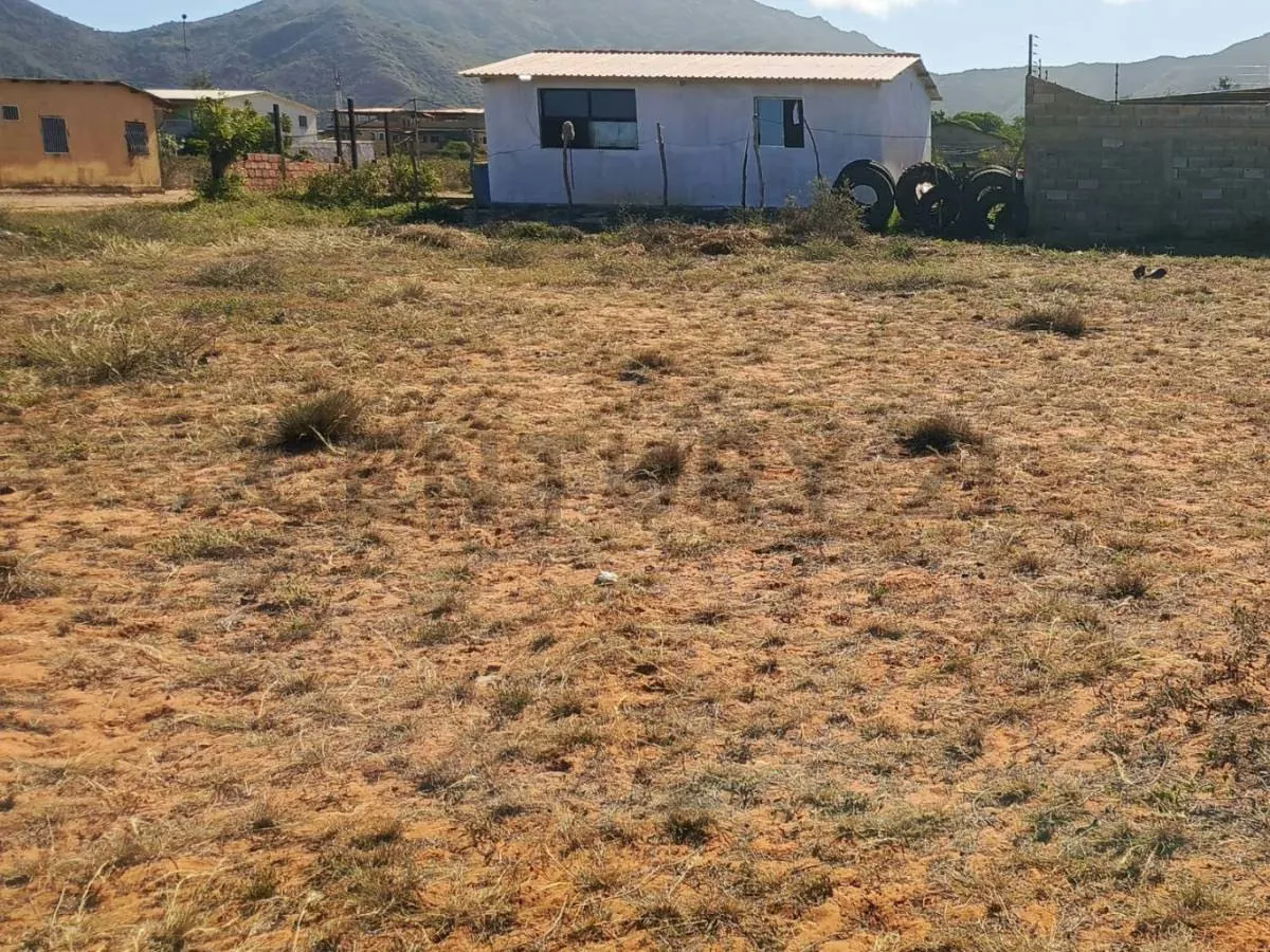 Excelentes parcelas de terreno en Aricagua, municipio Antolín del Campo