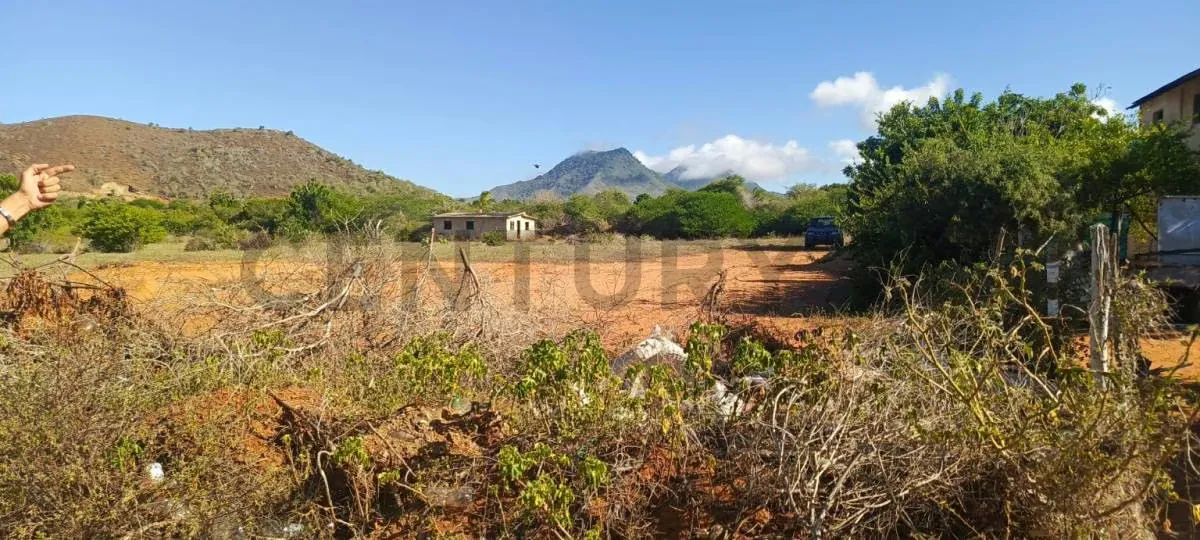 Excelentes parcelas de terreno en Aricagua, municipio Antolín del Campo - 2