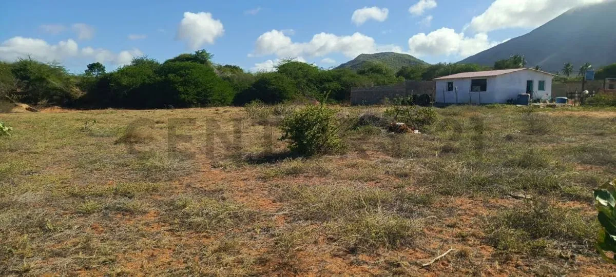 Excelentes parcelas de terreno en Aricagua, municipio Antolín del Campo - 3
