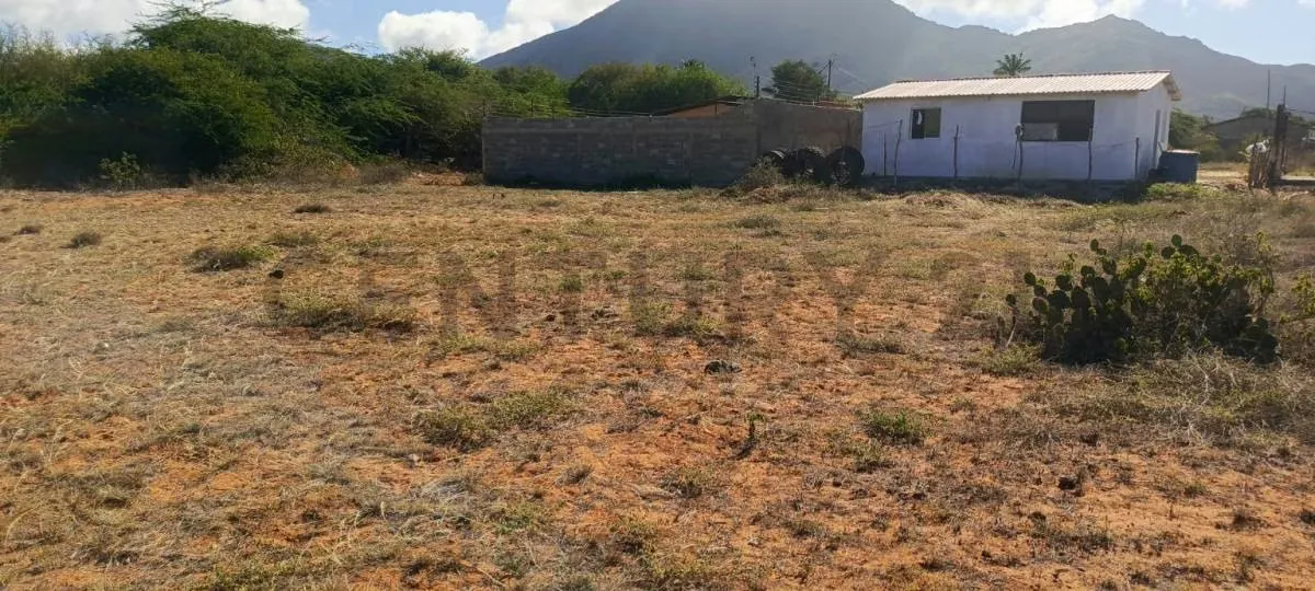 Excelentes parcelas de terreno en Aricagua, municipio Antolín del Campo - 4