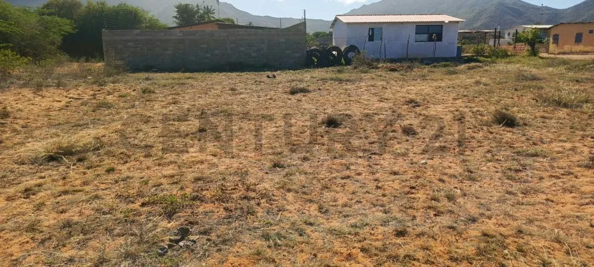 Excelentes parcelas de terreno en Aricagua, municipio Antolín del Campo - 5