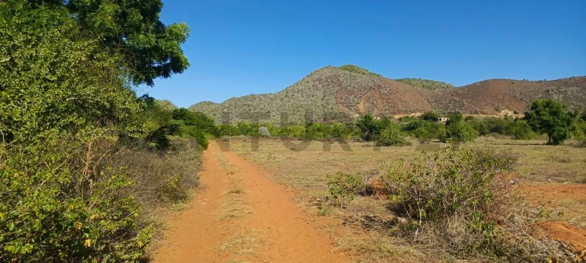 Excelentes parcelas de terreno en Aricagua, municipio Antolín del Campo - 6