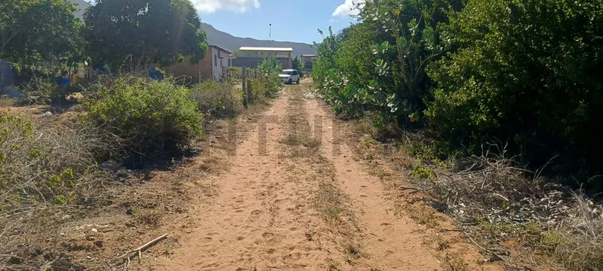 Excelentes parcelas de terreno en Aricagua, municipio Antolín del Campo - 7