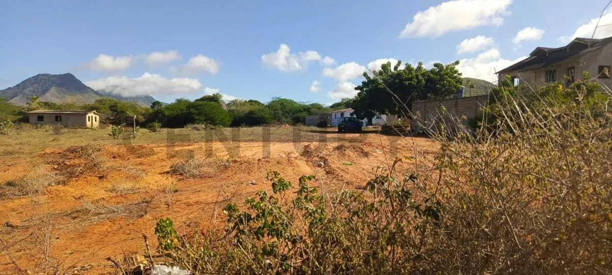 Excelentes parcelas de terreno en Aricagua, municipio Antolín del Campo - 8
