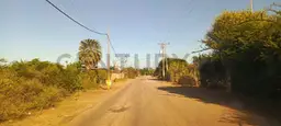 View 10