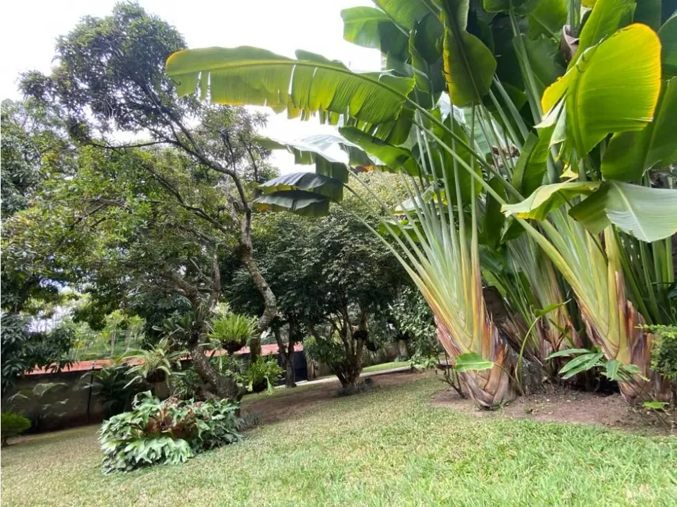 Vendo terreno residencial 3000m2 Los Chorros 8029 - 16