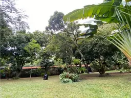 Vista 18