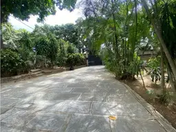 Vista 19