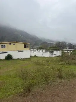 Vista 4