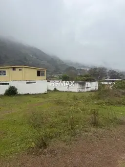 Vista 5