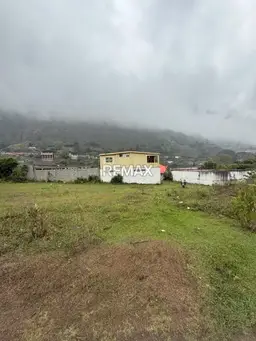 Vista 6
